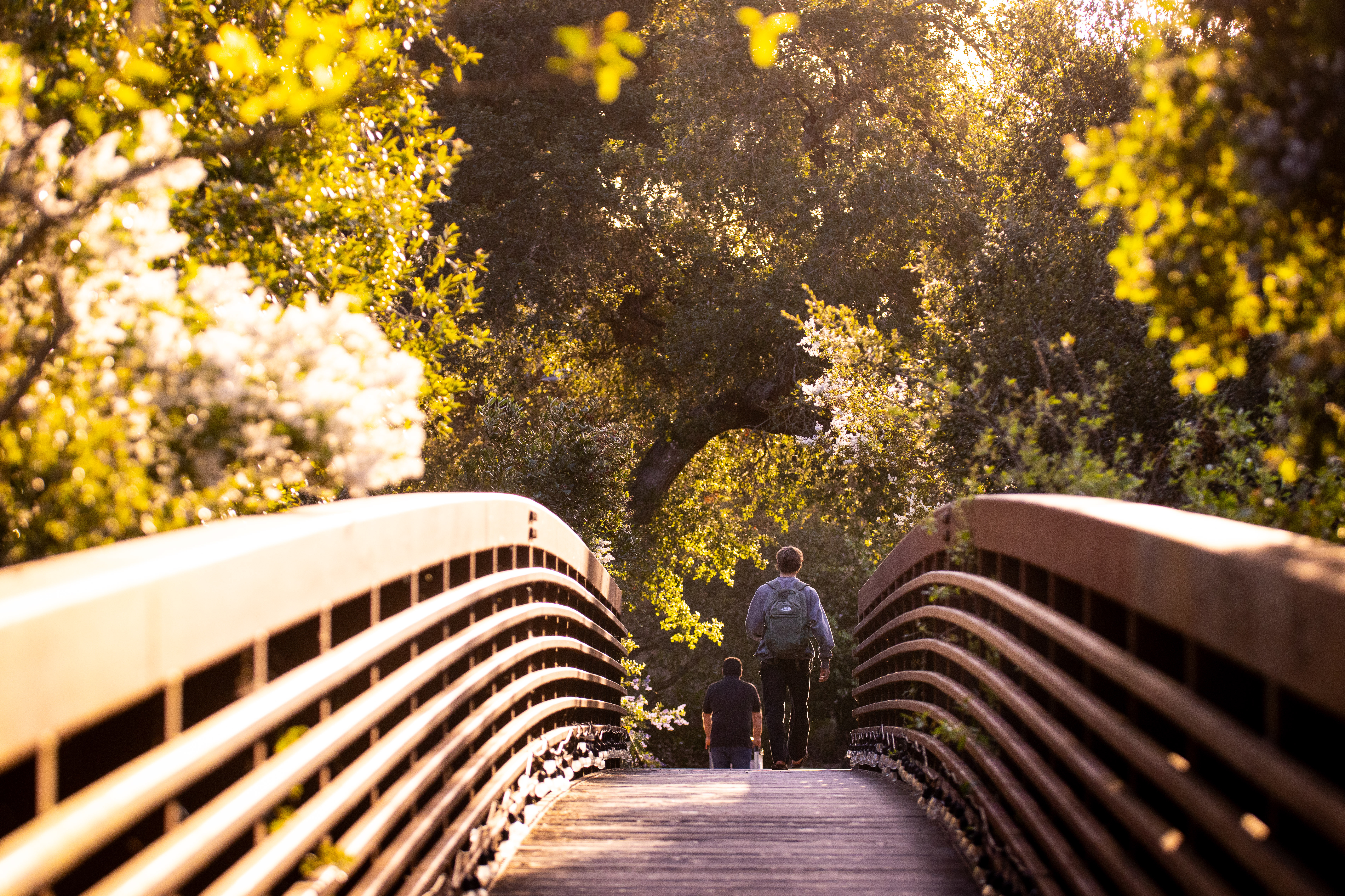 westmont student walking on bridge