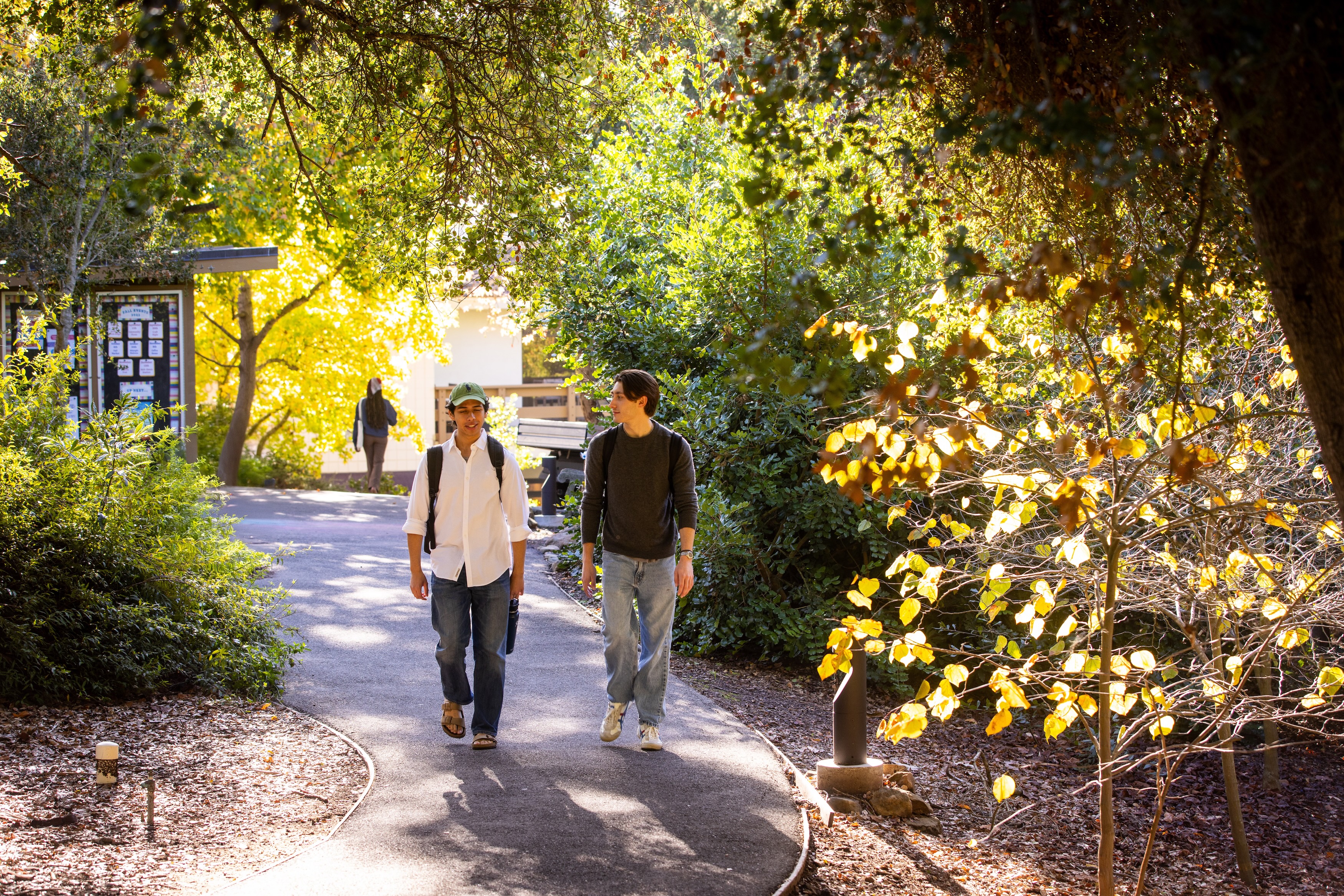 male students walking on campus