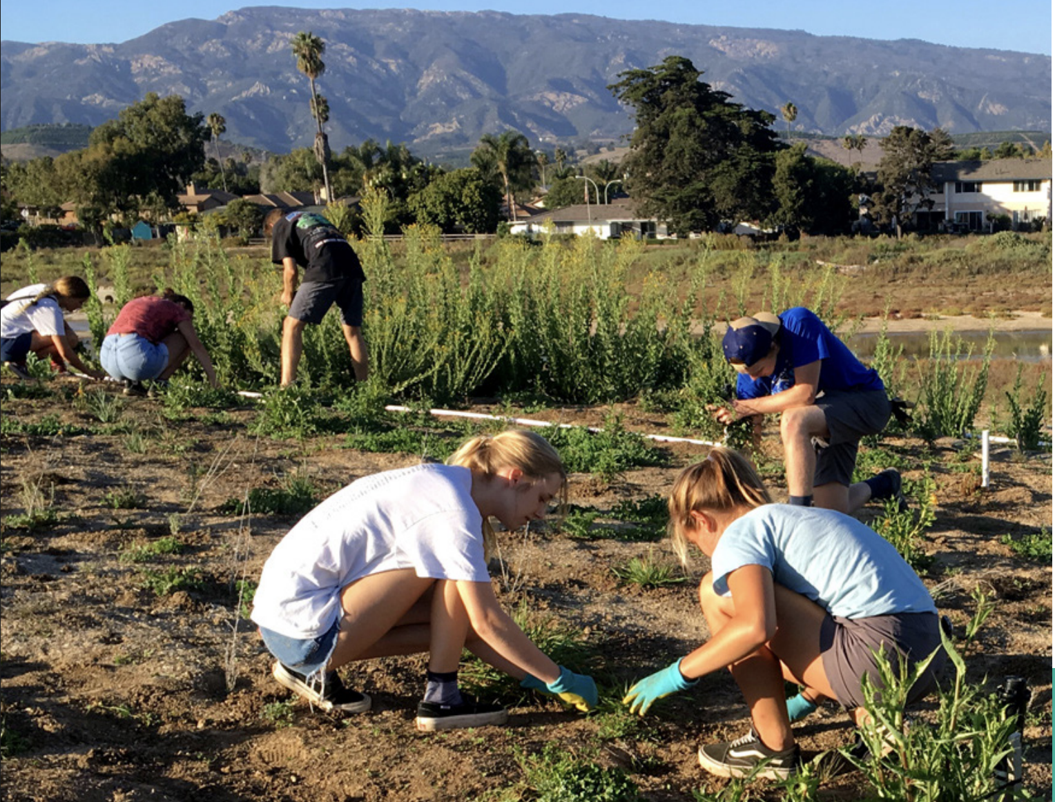 students working in the westmont garden