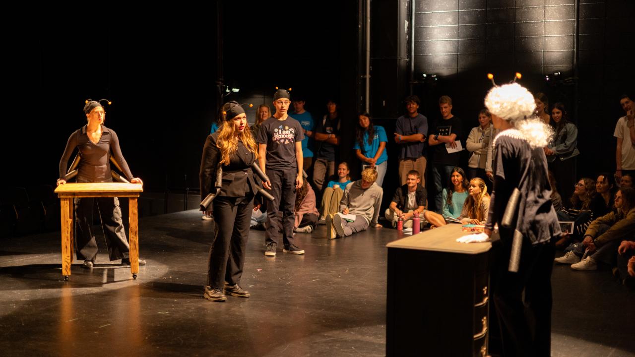 Fringe Festival 26