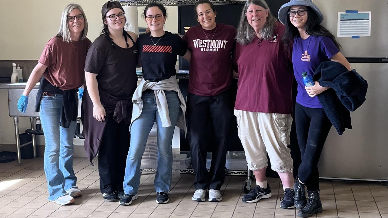 alumni day of service