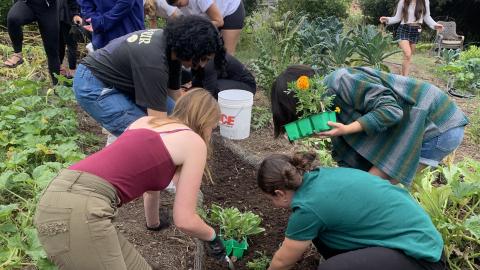 food systems students gardening