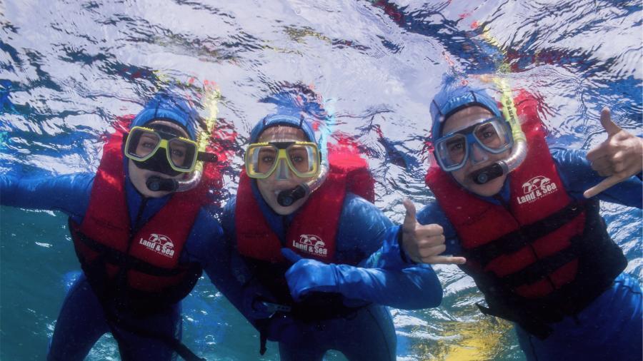 Students snorkeling in Australia