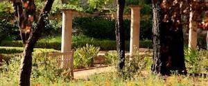 Pillars in garden on campus