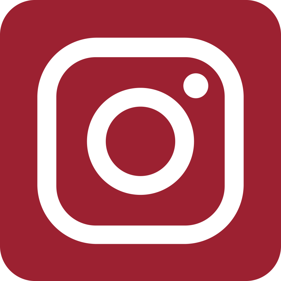 instagram icon maroon