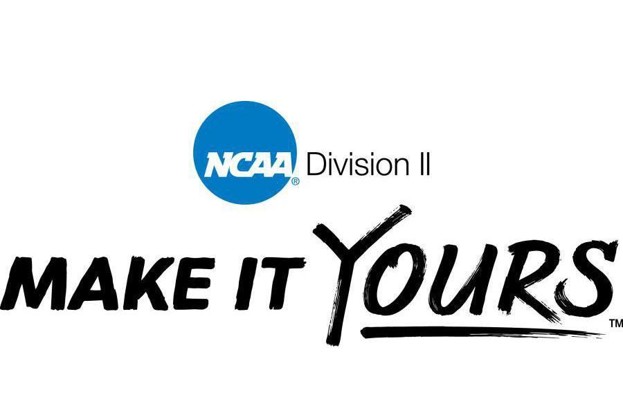 Make it Yours NCAA DII Logo