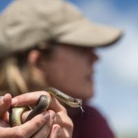 Amanda Sparkman, Ph.D.